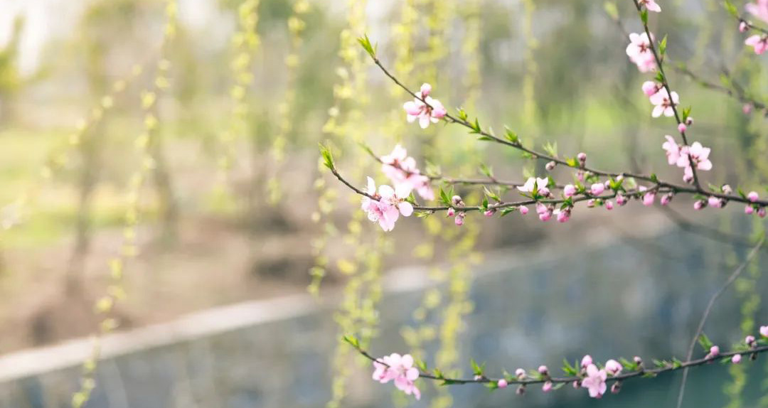春天來啦!用“新”喚醒家里的新氣象